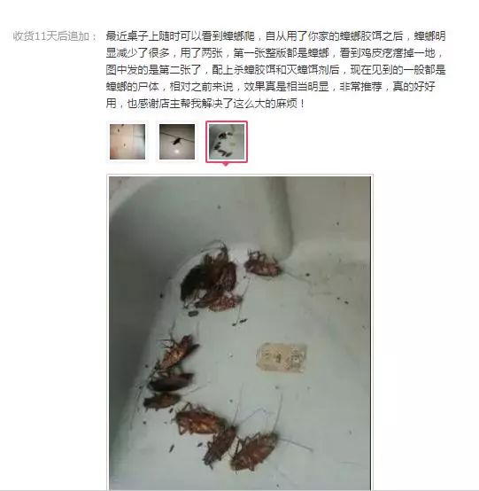 轻轻一喷快速消灭螨虫,车内蟑螂怎么消灭