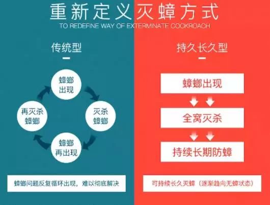 轻轻一喷快速消灭螨虫,车内蟑螂怎么消灭