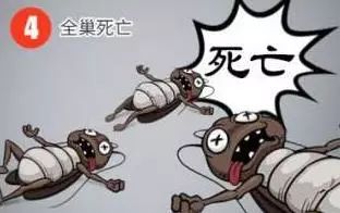 轻轻一喷快速消灭螨虫,车内蟑螂怎么消灭
