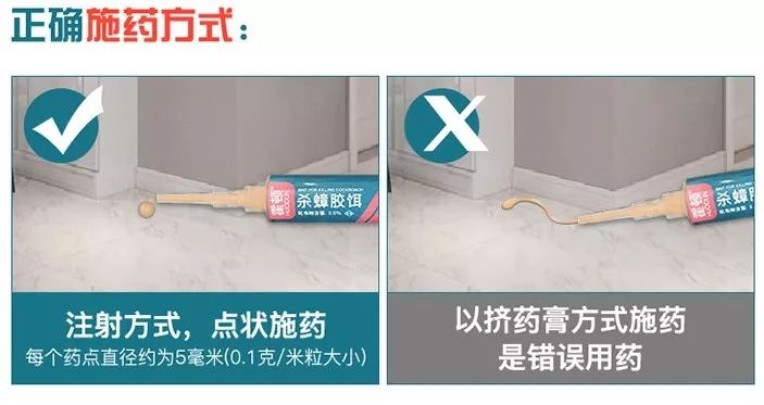 轻轻一喷快速消灭螨虫,车内蟑螂怎么消灭