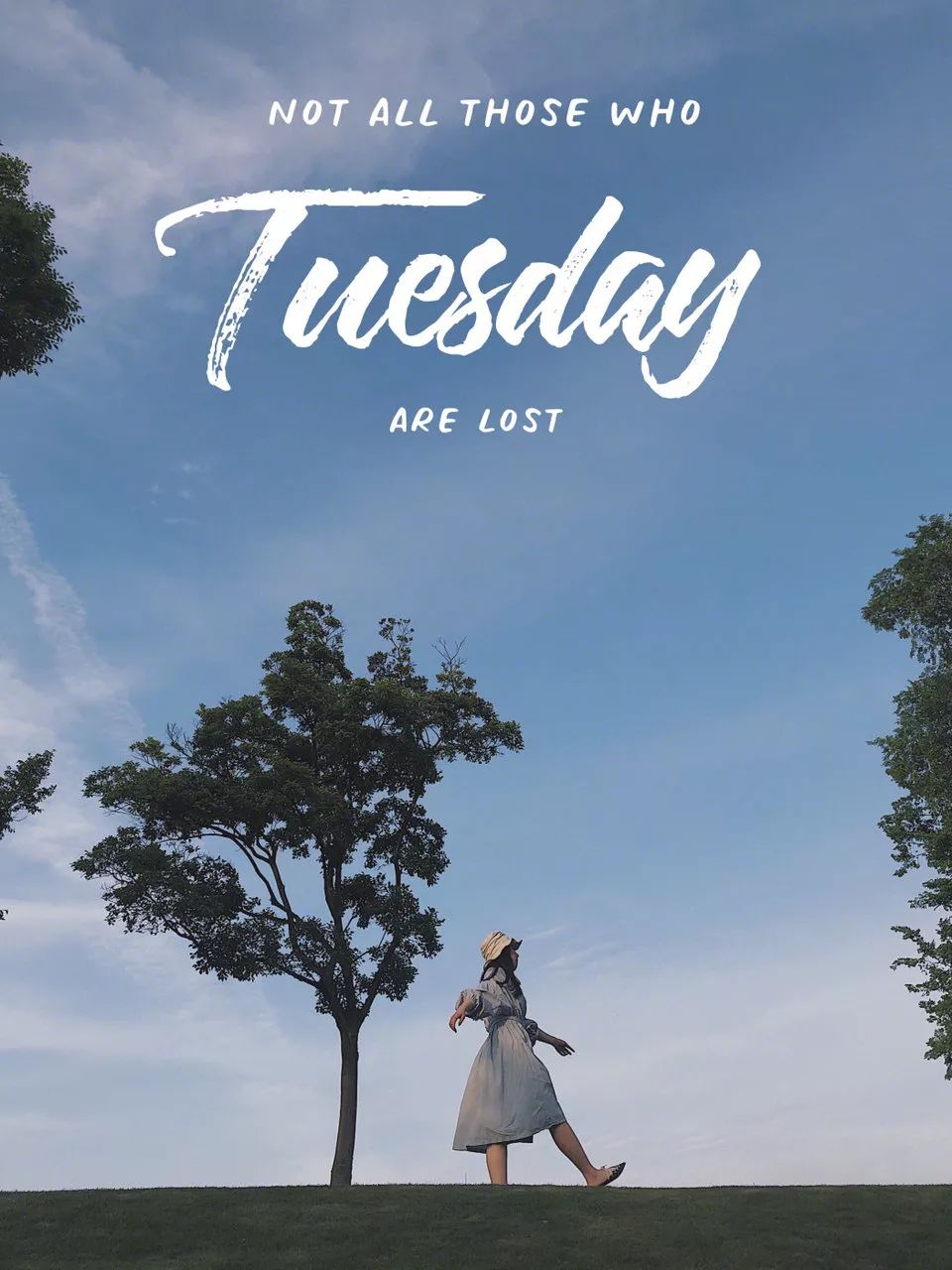 我辰这棵“孤独”的树火了！