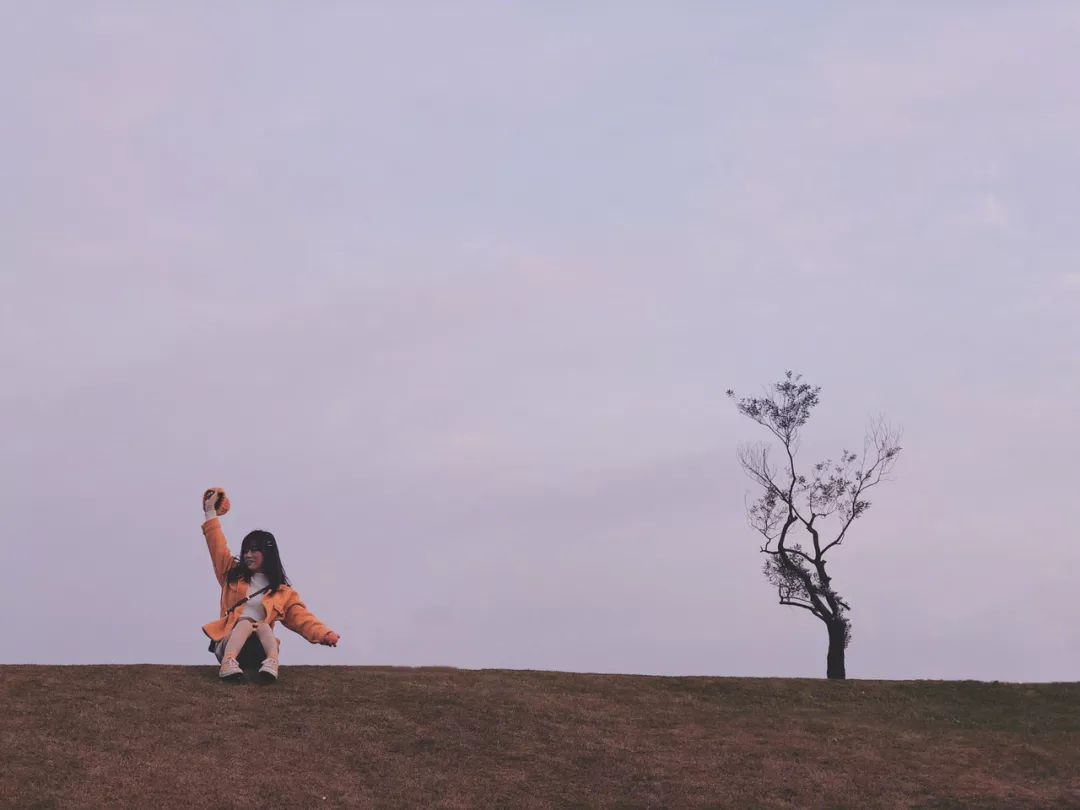 我辰这棵“孤独”的树火了！