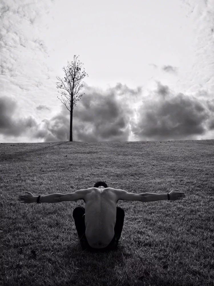 我辰这棵“孤独”的树火了！