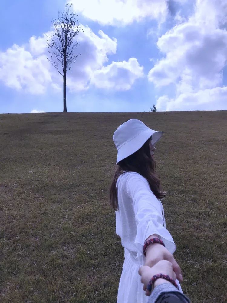 我辰这棵“孤独”的树火了！