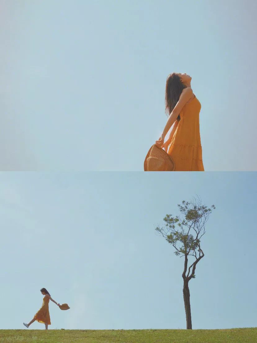 我辰这棵“孤独”的树火了！