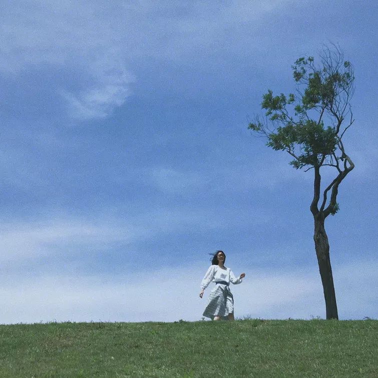 我辰这棵“孤独”的树火了！