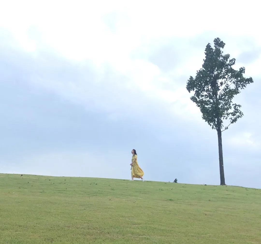 我辰这棵“孤独”的树火了！