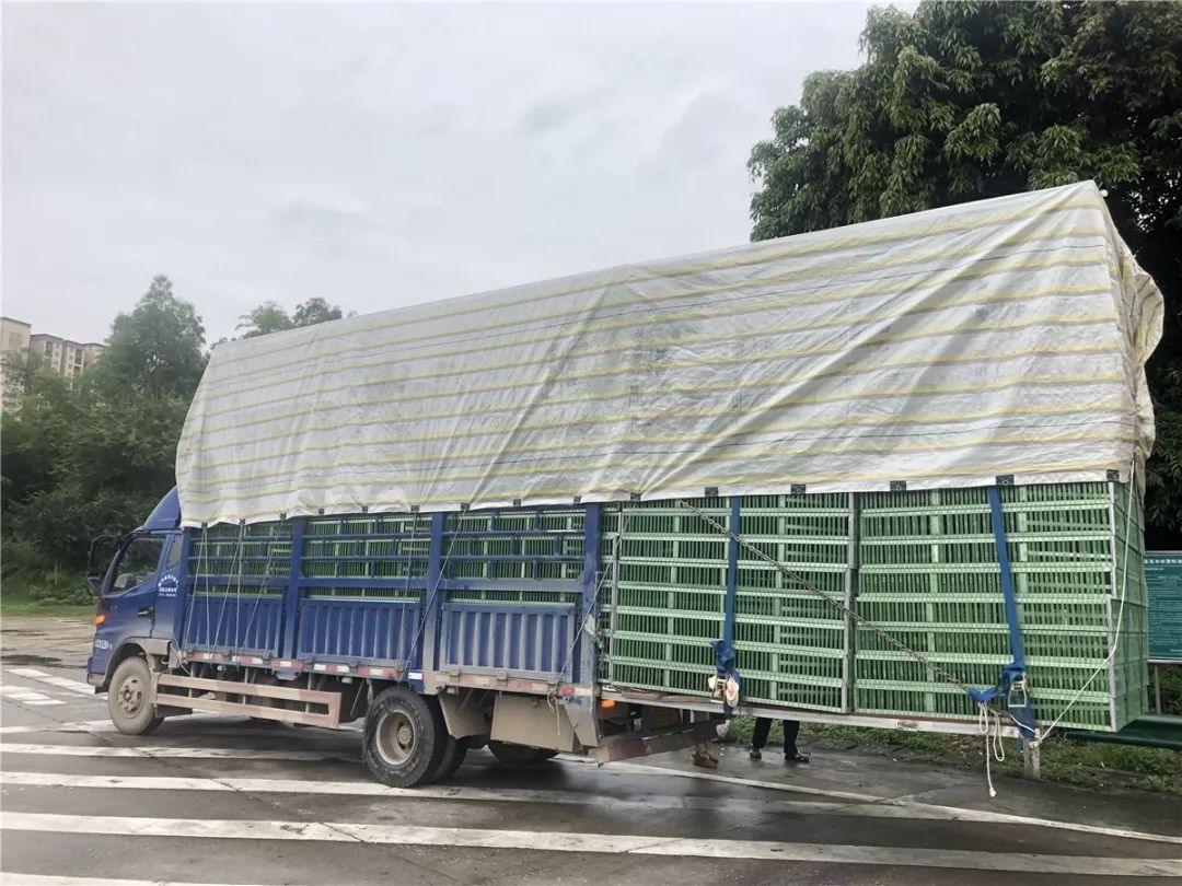 货车一次性扣12分,货车一次性扣12分最新处理