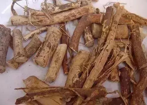 广东煲汤常用的植物,广东农村常见煲汤的草药