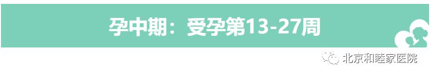 孕期营养素补充指南 (孕期要如何补充营养素呢)