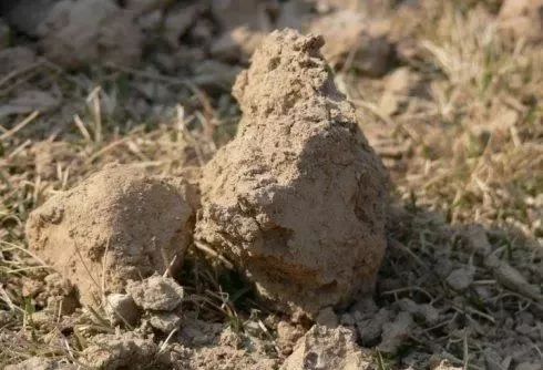 上厕所时没有纸怎么办,上厕所没纸怎么擦