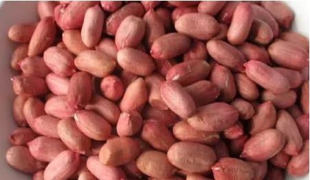 胃病特效药图片大全,胃病偏方可信吗