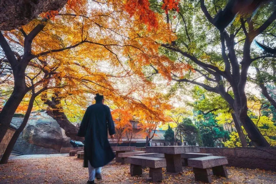 青岛逛吃好去处,青岛能一边吃一边逛的地方