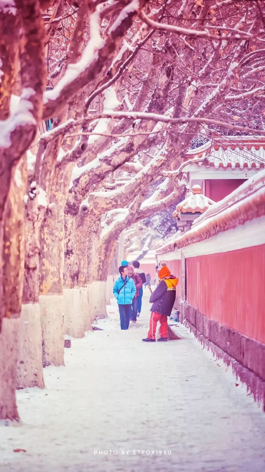 青岛逛吃好去处,青岛能一边吃一边逛的地方