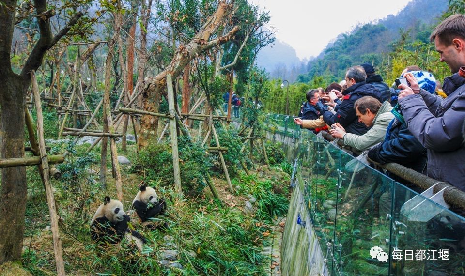 都江堰青城康养,都江堰青城康养中心