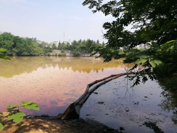 公安机关零容忍打击违法犯罪,严打食药环犯罪