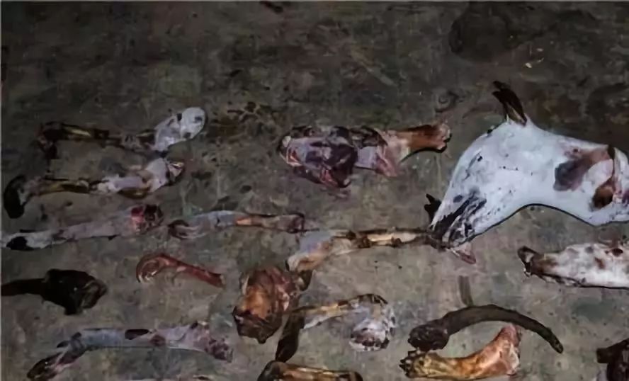 公安机关零容忍打击违法犯罪,严打食药环犯罪