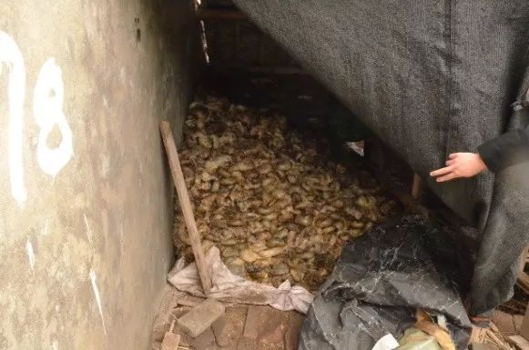 公安机关零容忍打击违法犯罪,严打食药环犯罪