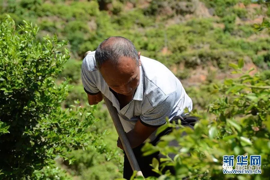 福建长汀绿水青山,壮丽70年奋斗新时代