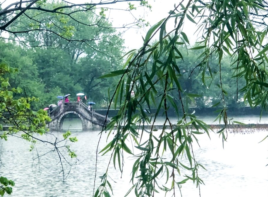 徽州雨巷图片大全,徽州雨巷