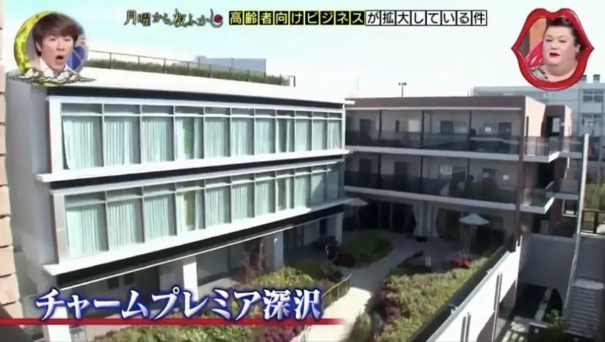 养老院丁克老了怎么办,做丁克老了去养老院