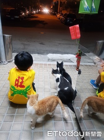 浪喵饲料整桶不见　2狗偷吃+外带