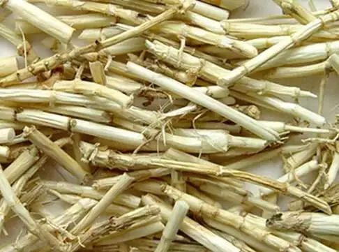 夏季祛湿茶汤,祛湿去肝火最好的汤水配方