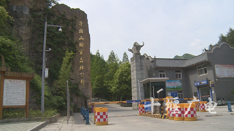 牛头山国家森林公园路修好了没有,牛头山森林公园改造