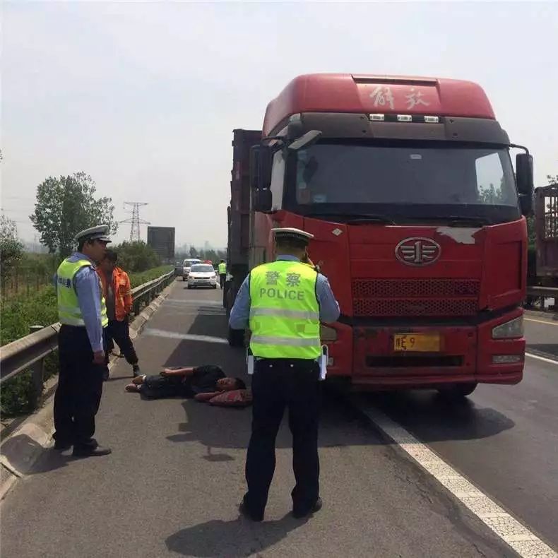 大货车司机被马蜂蜇昏迷,司机被马蜂蜇伤昏迷怎么办