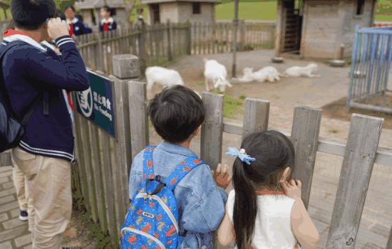 辰山植物园值得去的地方,上海辰山植物园最值得看的