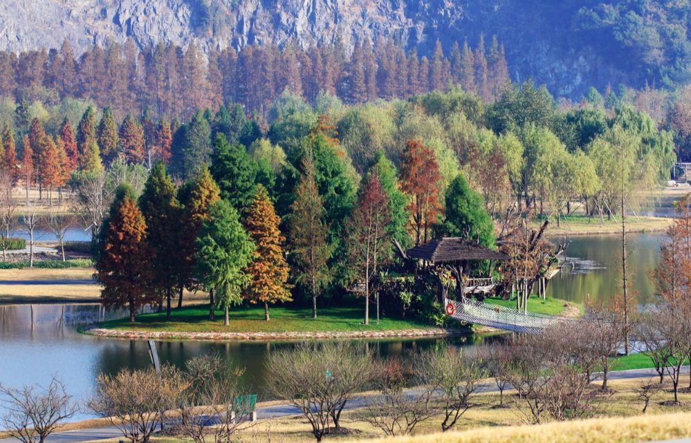 辰山植物园值得去的地方,上海辰山植物园最值得看的