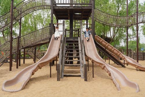 辰山植物园值得去的地方,上海辰山植物园最值得看的