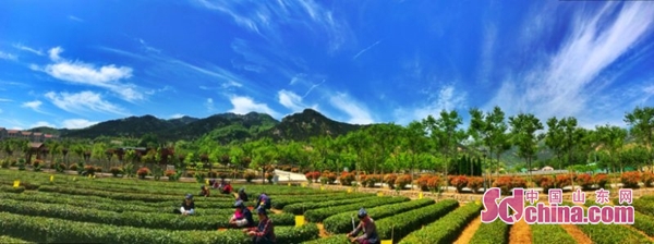 山海小城王哥庄门票特价,山海小城王哥庄小程序