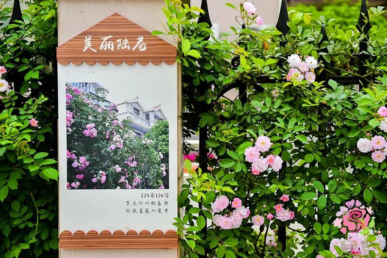 小菜地变成小花园,从小菜园到经开区怎么走