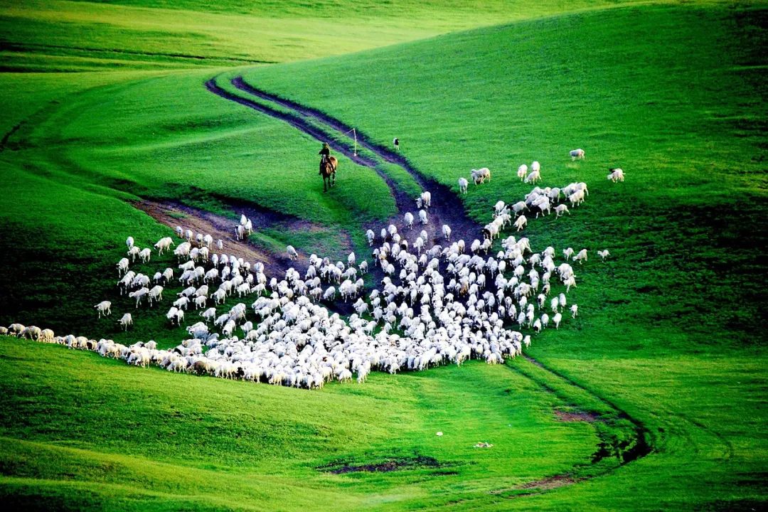 招募｜李英杰“光影非遗川南行”摄影工作坊