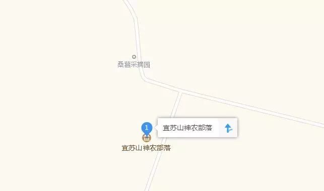 洛阳樱桃桑葚采摘最佳地点,洛阳樱桃桑葚采摘园