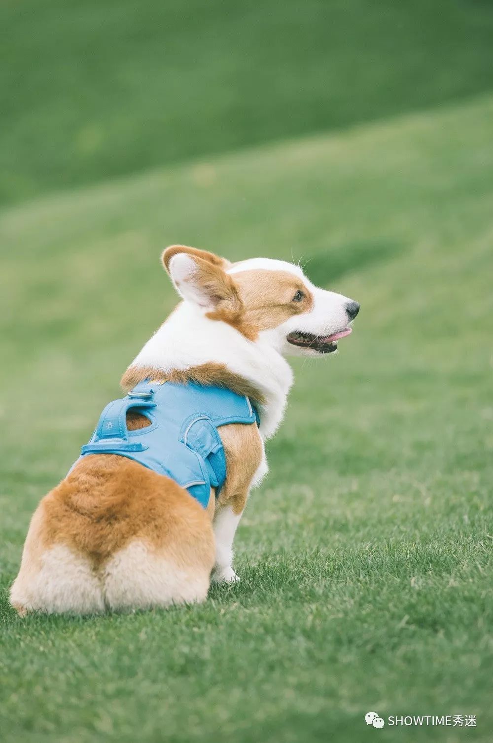 我要安利这些个爆款,因为它们好用到“爆”!(下)