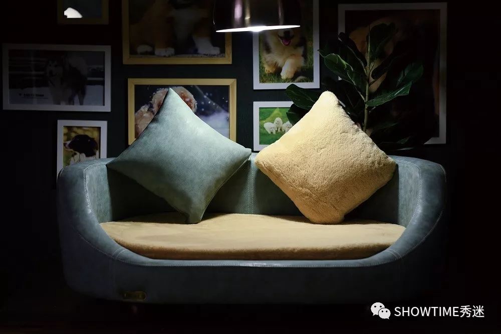 我要安利这些个爆款,因为它们好用到“爆”!(下)