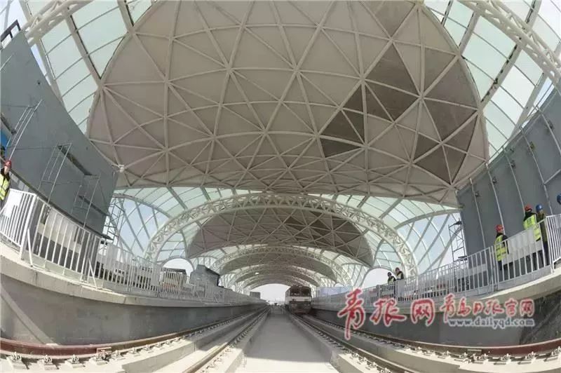 为什么要留在青岛,年轻人有必要留在青岛吗