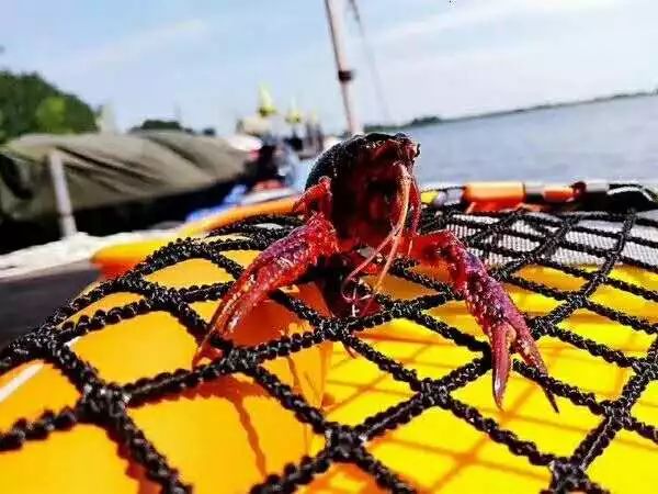 aca美国皮划艇协会培训,美国皮划艇协会aca等级证书