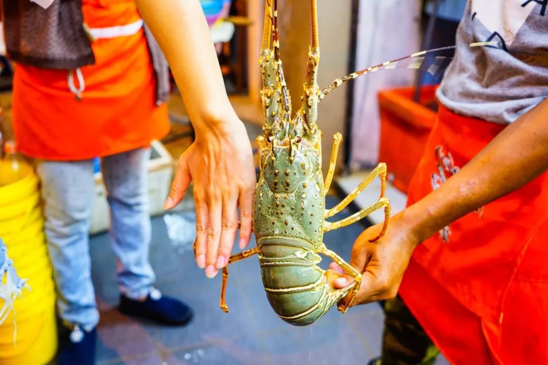 刚刚登上热搜的海上天堂,用马代1/5的钱就能玩到嗨,端午往返机票才1k+!