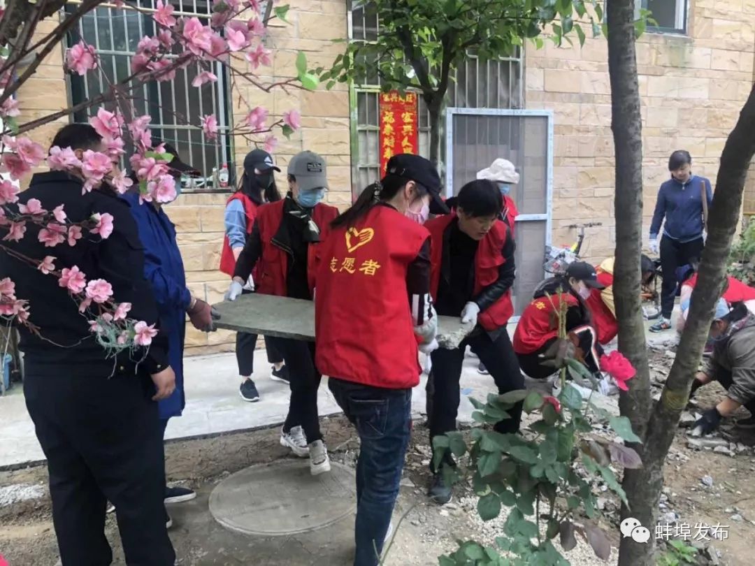 城市绿化整治项目清单,整治绿化景观的方法