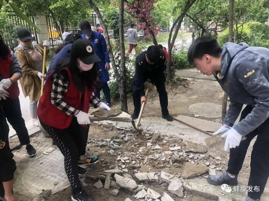 城市绿化整治项目清单,整治绿化景观的方法