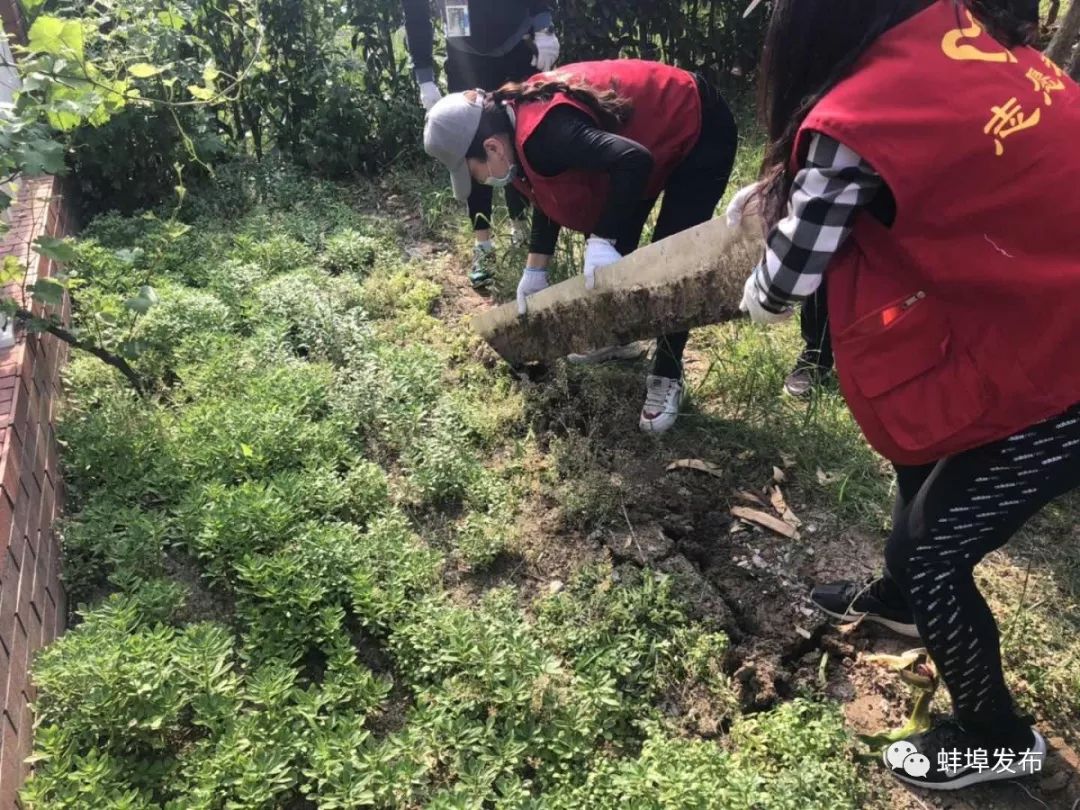 城市绿化整治项目清单,整治绿化景观的方法