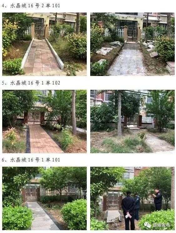 城市绿化整治项目清单,整治绿化景观的方法