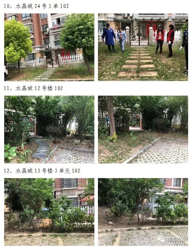 城市绿化整治项目清单,整治绿化景观的方法