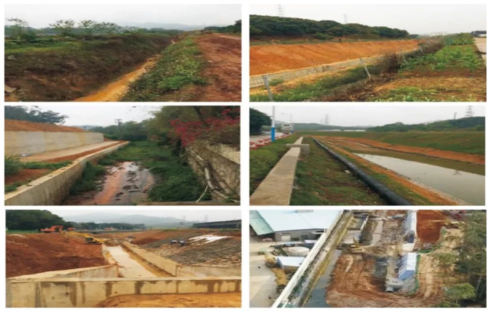 老虎坑水整治提升见成效,昔日臭水沟变身休闲运动“打卡地”!