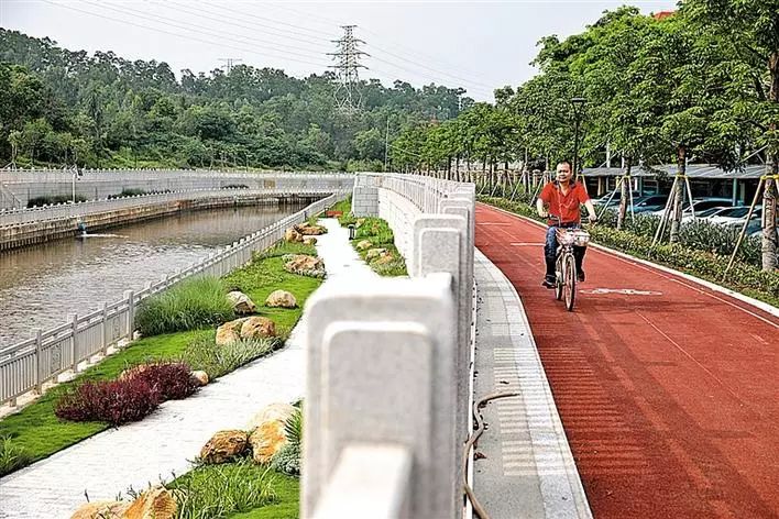 老虎坑水整治提升见成效,昔日臭水沟变身休闲运动“打卡地”!