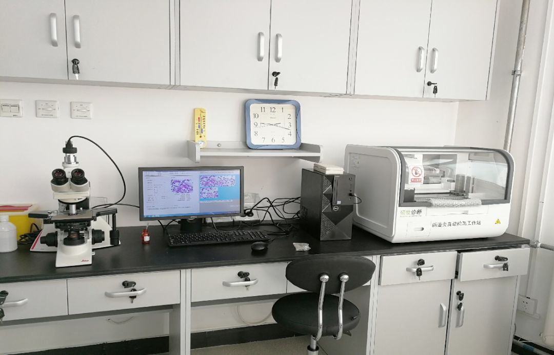 妇产医学资讯,妇产医院新资讯