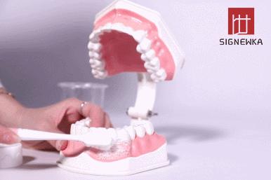 洗牙最好的牙刷,刷牙最干净不伤牙龈的牙刷